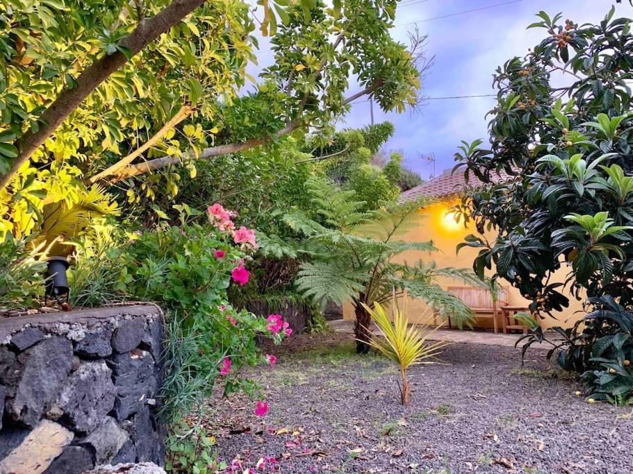 Rustic House La Montana Villa Breña Baja