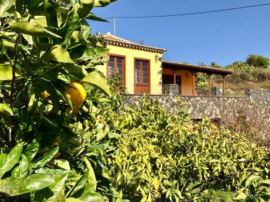 Rustic House La Montana *